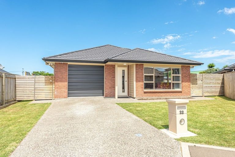 Photo of property in 22 Leicester Place, Springvale, Whanganui, 4501