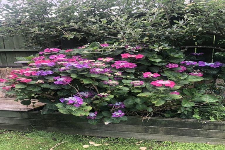 Photo of property in 317 River Road, Claudelands, Hamilton, 3214