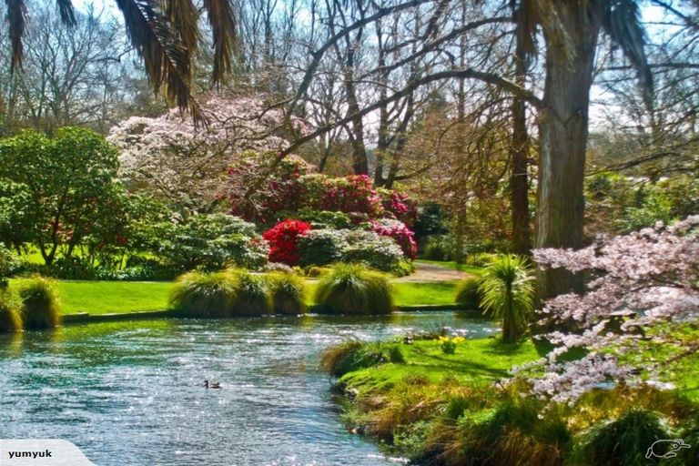 Photo of property in 91 Brockworth Place, Riccarton, Christchurch, 8011