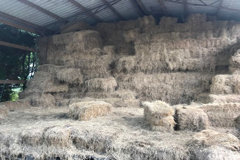 Photo of property in 785 Glen Murray Road, Rangiriri, Huntly, 3772