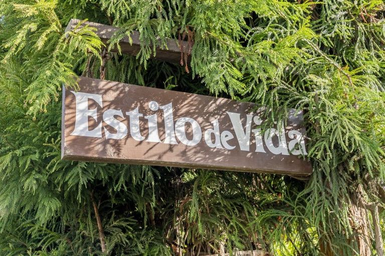 Photo of property in 210 Bruce Road, Levin, 5510