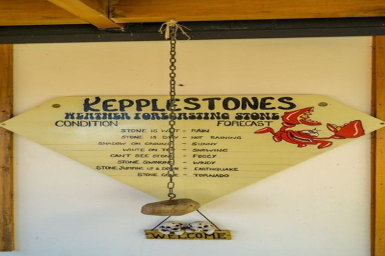 Photo of property in 9 Surat Bay Road, New Haven, Owaka, 9585