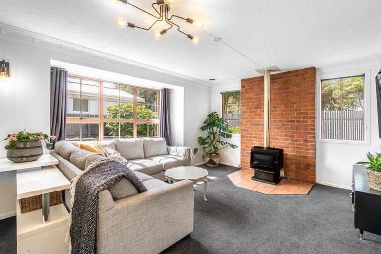 Photo of property in 209 Ward Street, Hargest, Invercargill, 9810