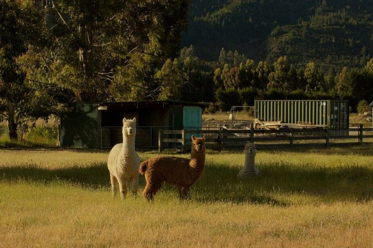 Photo of property in 22 Grayburn Lane, Albert Town, Wanaka, 9382