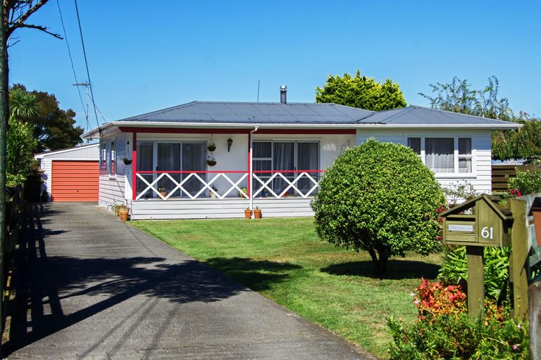 Photo of property in 61 Fergusson Street, Solway, Masterton, 5810