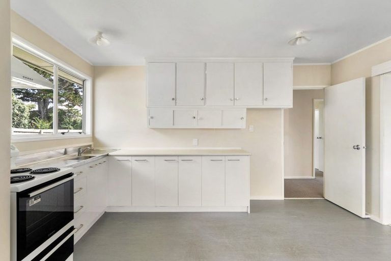 Photo of property in 52 Coburg Street, Henderson, Auckland, 0612