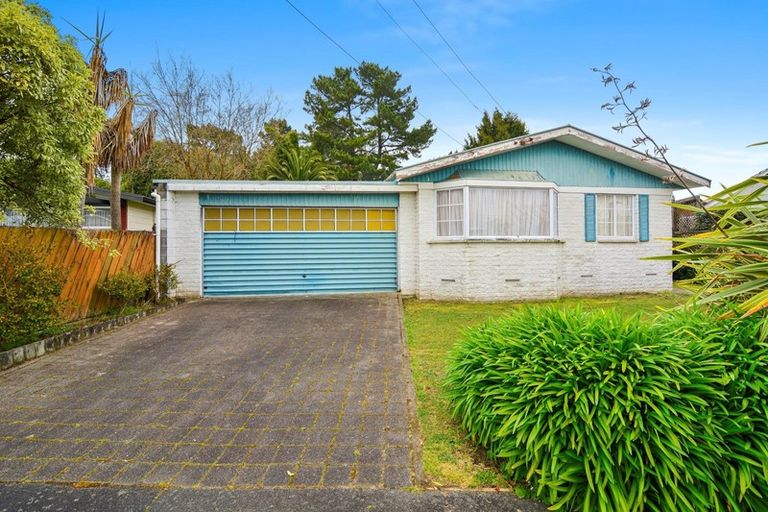 Photo of property in 37 Fitzroy Avenue, Fitzroy, Hamilton, 3206