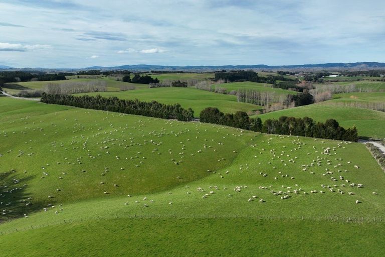 Photo of property in 41 Gray Road, Waitepeka, Balclutha, 9271