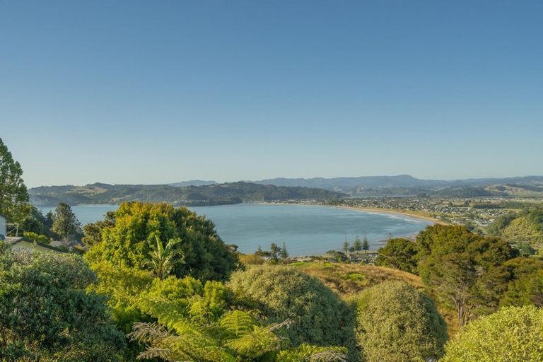 Photo of property in 99 Centennial Drive, Whitianga, 3510