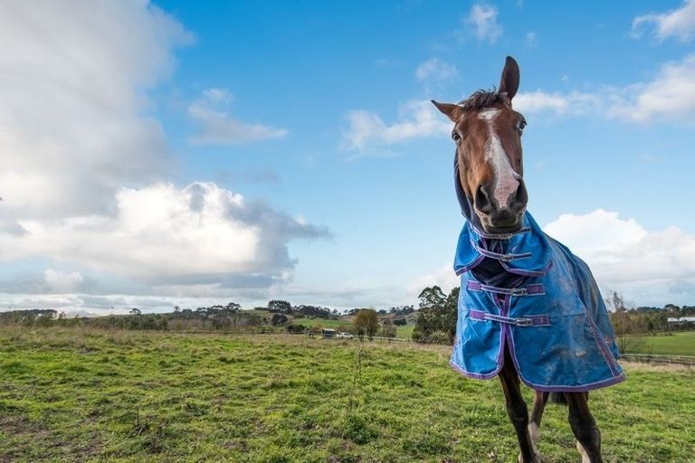 Photo of property in 25 Hull Road, Waitoki, Kaukapakapa, 0871