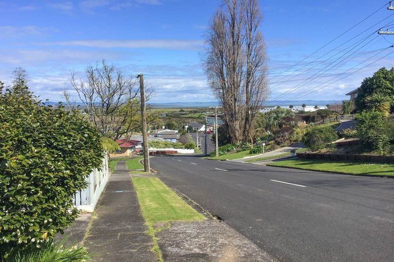 Photo of property in 120 Brunton Crescent, Thames, 3500