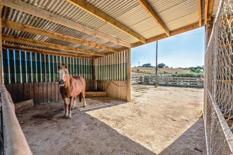 Photo of property in 164a Awahuri Feilding Road, Feilding, 4775