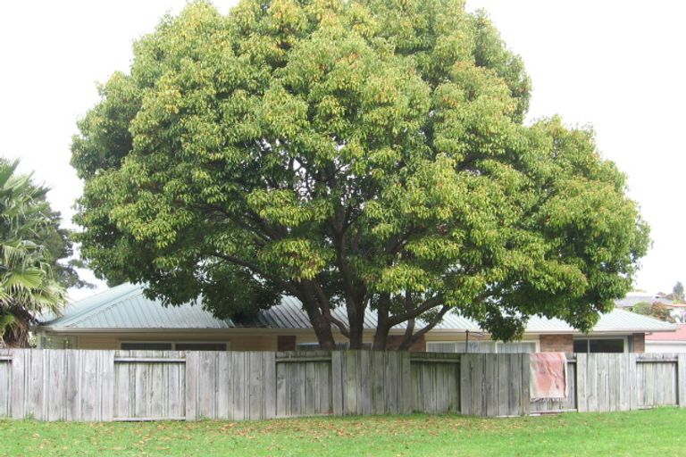 Photo of property in 10 Stoddart Place, Brookfield, Tauranga, 3110