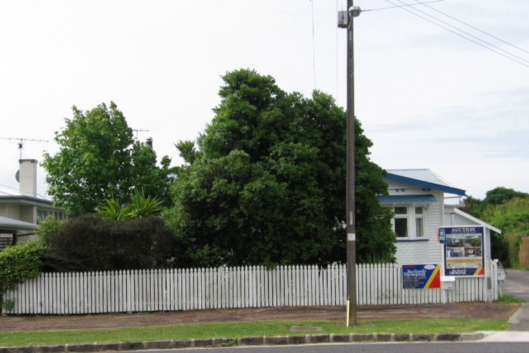 Photo of property in 51 Margaret Avenue, Mount Albert, Auckland, 1025