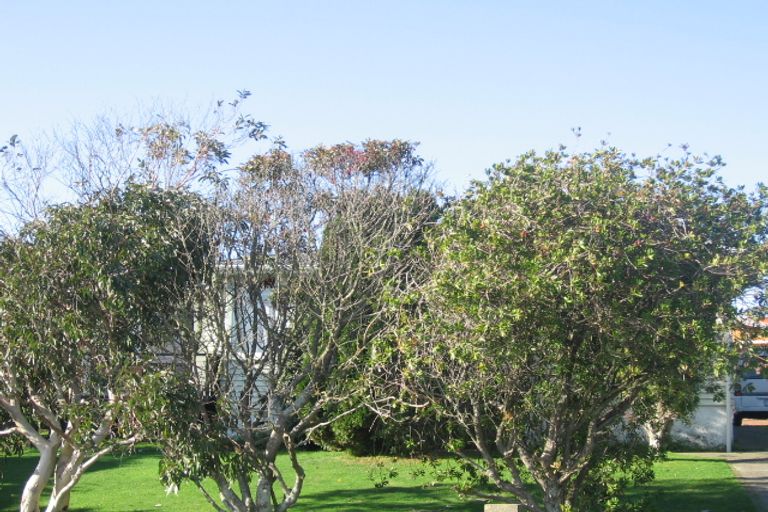 Photo of property in 20 Fantame Street, Cannons Creek, Porirua, 5024