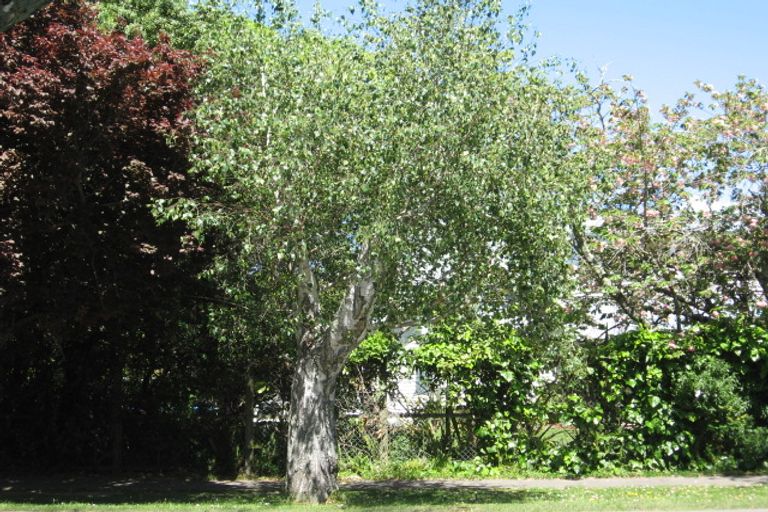 Photo of property in 111a Iranui Road, Inner Kaiti, Gisborne, 4010