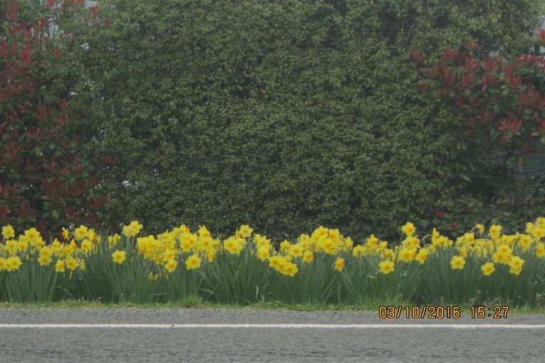 Photo of property in 125 Main North Road, Geraldine, 7930