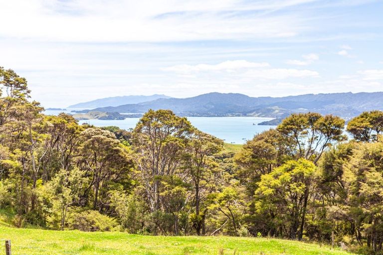 Photo of property in 1288 Manaia Road, Manaia, Coromandel, 3581