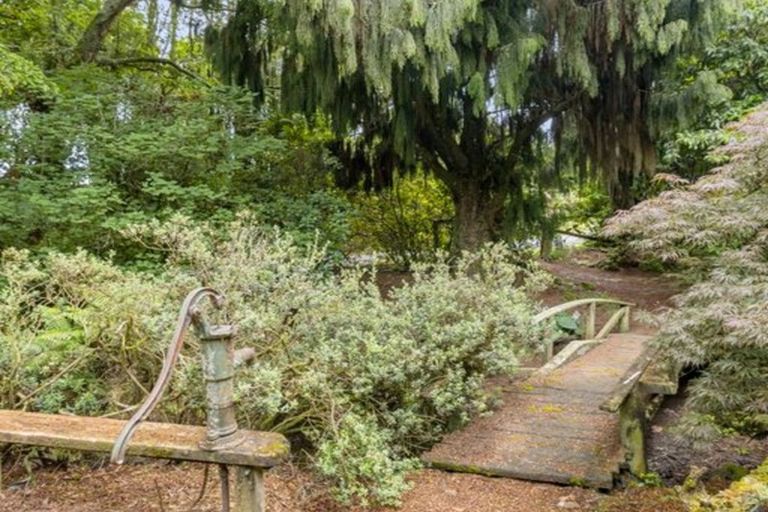 Photo of property in 488 Tapuwae Road, Maniaiti / Benneydale, Te Kuiti, 3987