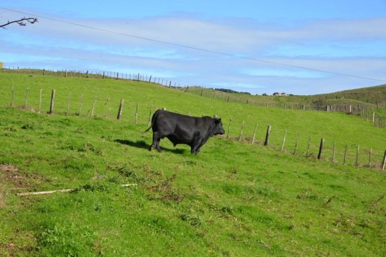 Photo of property in 80 State Highway 3, Piopio, 3970