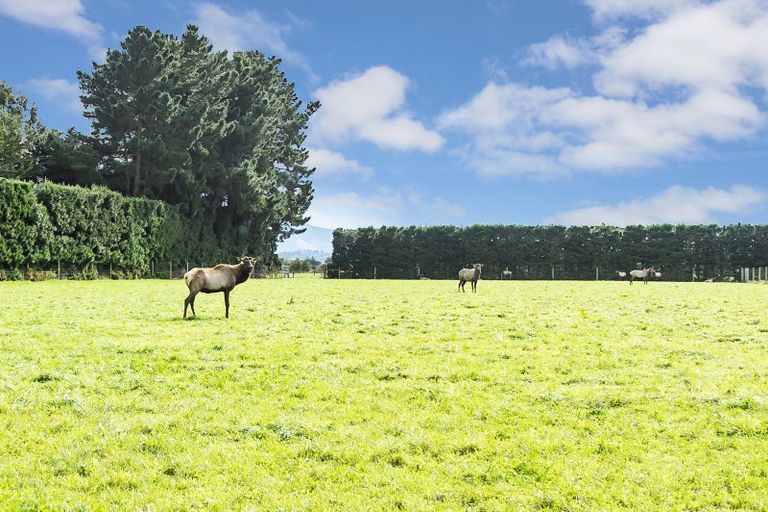 Photo of property in 10 Horrells Road, West Eyreton, Rangiora, 7475