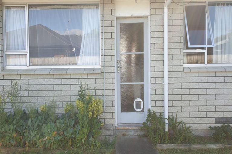 Photo of property in 31 Knowles Street, Terrace End, Palmerston North, 4410
