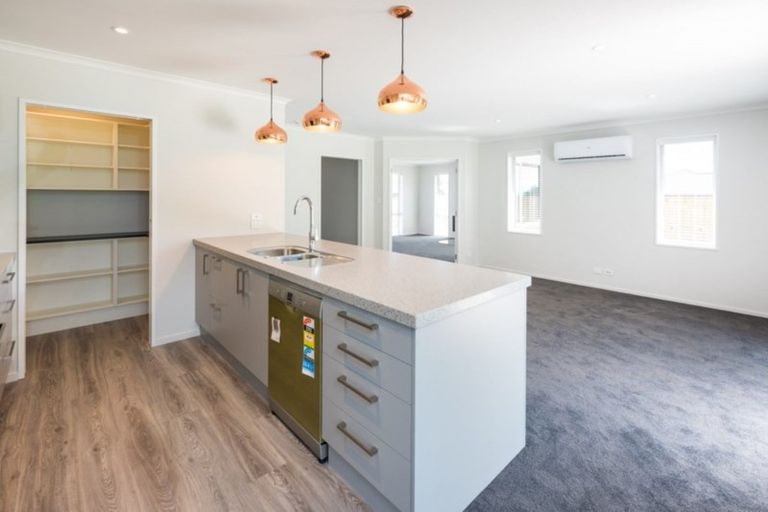 Photo of property in 3 Solomon Place, Witherlea, Blenheim, 7201