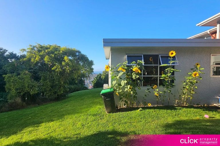 Photo of property in 71 Oakwood Avenue, Maryhill, Dunedin, 9011