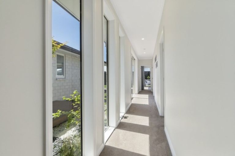 Photo of property in 11 Audrey Place, Flagstaff, Hamilton, 3210