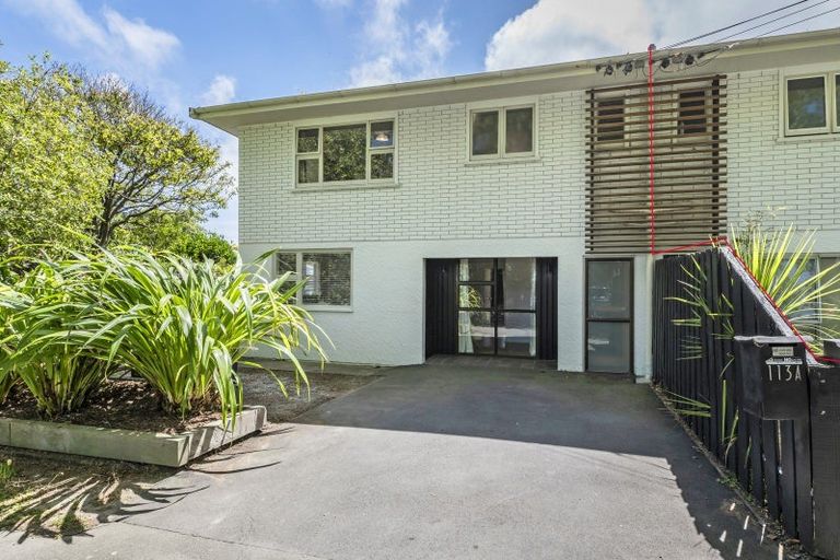 Photo of property in 113a Fisher Avenue, Beckenham, Christchurch, 8023