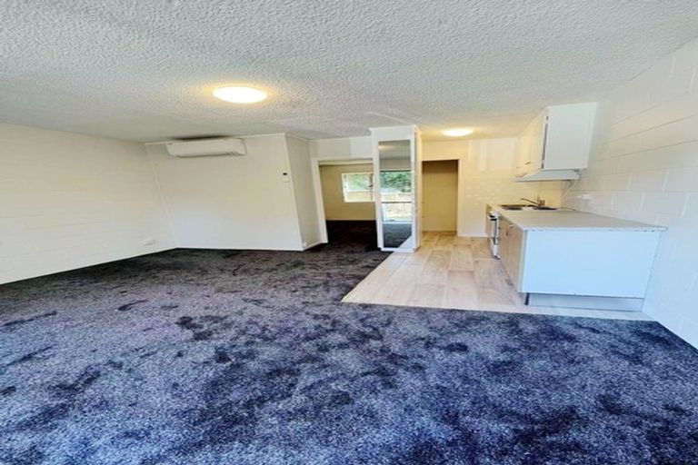 Photo of property in 2/7 Edenvale Park Road, Mount Eden, Auckland, 1024