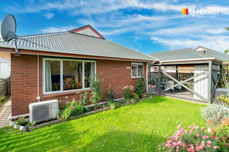 Photo of property in 176c Melbourne Street, South Dunedin, Dunedin, 9012