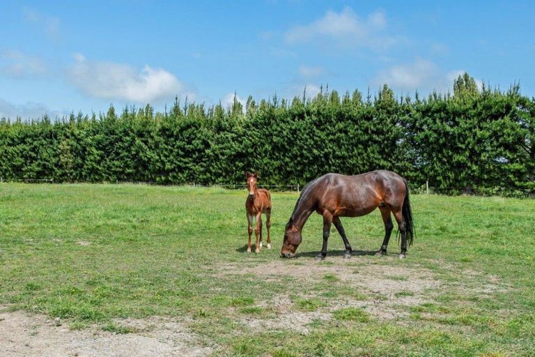Photo of property in 533 Lower Sefton Road, Sefton, Rangiora, 7477