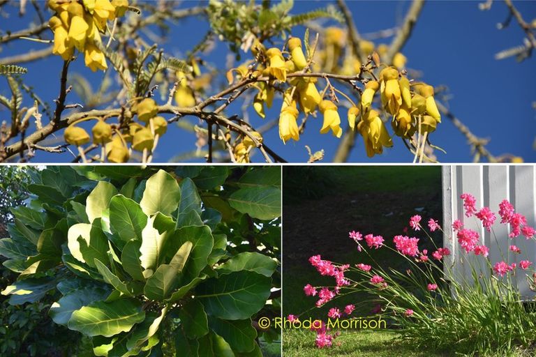 Photo of property in 42 Sandy Beach Road, Tinopai, 0593