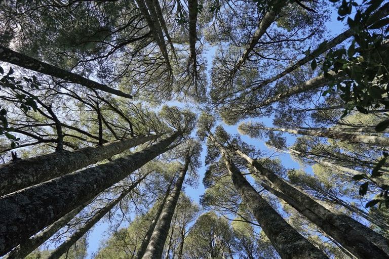 Photo of property in 2027a Te Pahu Road, Whatawhata, Hamilton, 3285