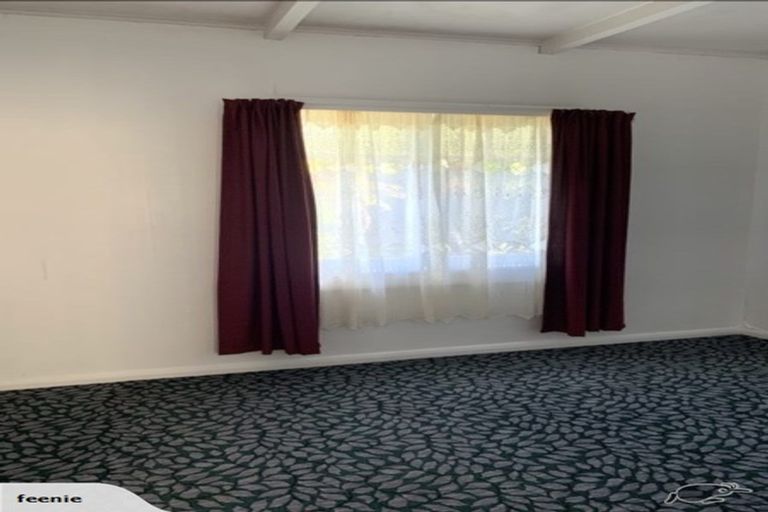 Photo of property in 152 Taupo Street, Putaruru, 3411