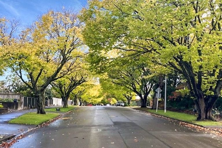 Photo of property in 29 Karina Terrace, Roslyn, Palmerston North, 4414