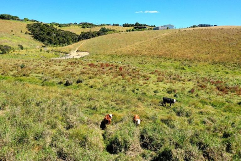 Photo of property in 119a Heatherlea Drive, Ruakaka, 0171