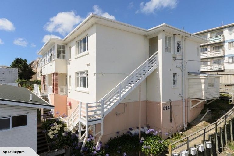 Photo of property in 51a Majoribanks Street, Mount Victoria, Wellington, 6011