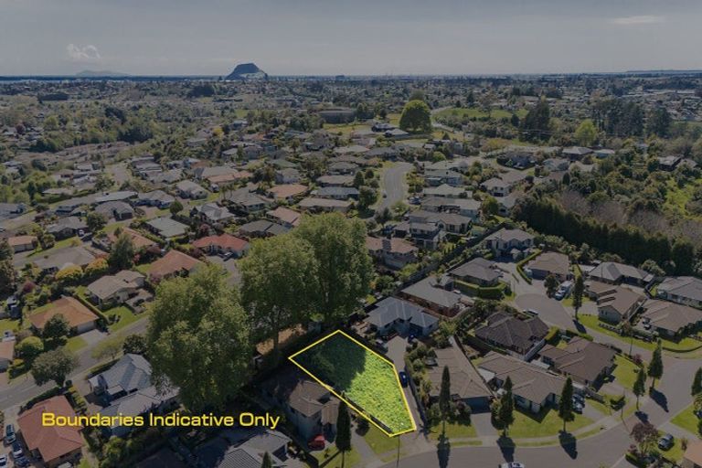 Photo of property in 11 Edwin Grove, Bethlehem, Tauranga, 3110