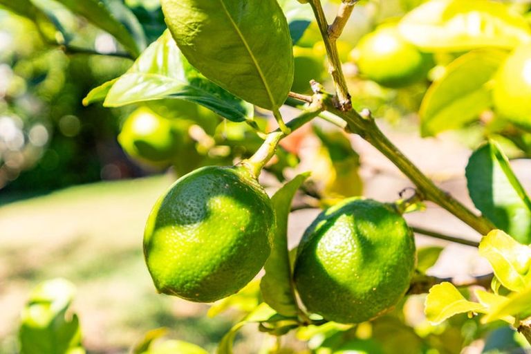 Photo of property in 8 Grove Road, Mangawhai Heads, Mangawhai, 0505