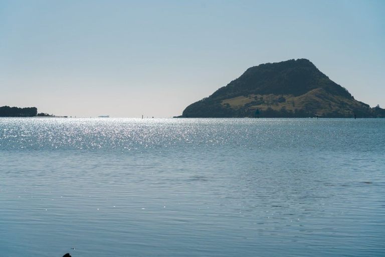 Photo of property in 2b Kulim Avenue, Otumoetai, Tauranga, 3110