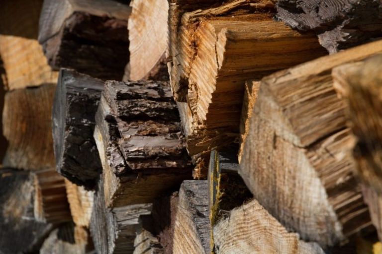 Photo of property in 22 Tenby Street, Wanaka, 9305