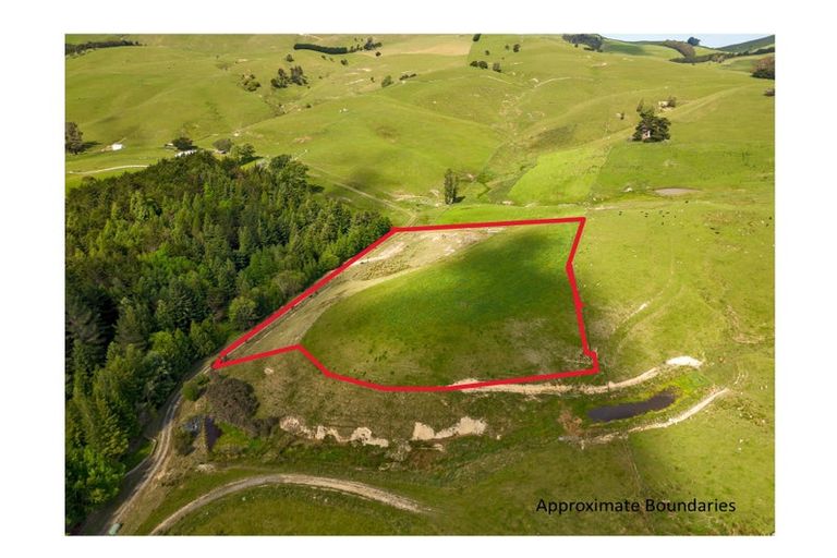 Photo of property in 490 Bluff Rangitumau Road, Rangitumau, Masterton, 5871