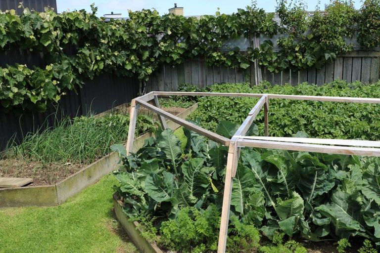 Photo of property in 4 Bonnies Chance, Seaward Bush, Invercargill, 9812