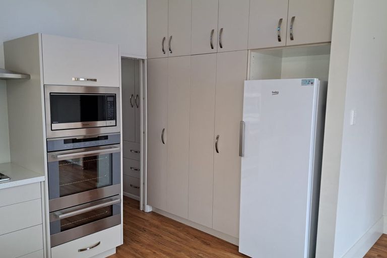 Photo of property in 103 Blacks Road, Opoho, Dunedin, 9010