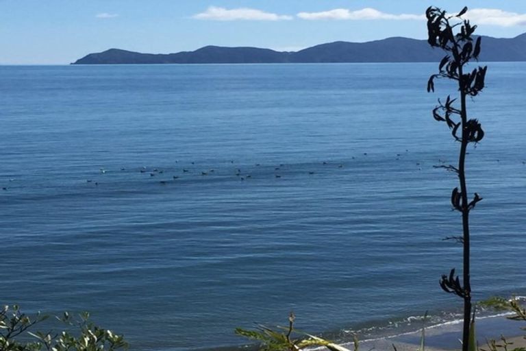 Photo of property in 60 Ames Street, Paekakariki, 5034