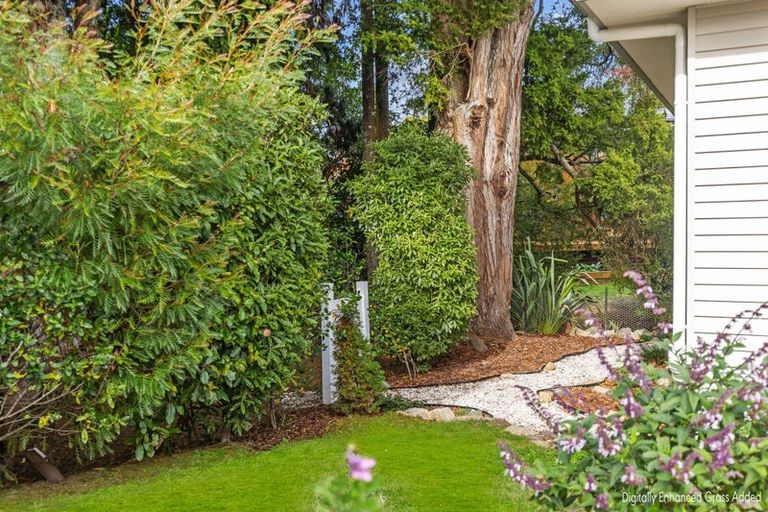 Photo of property in 433 Main Rd Riwaka, Riwaka, Motueka, 7198