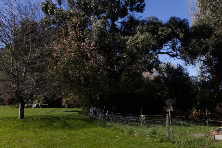 Photo of property in 1067 Milton Highway, Lovells Flat, Milton, 9292