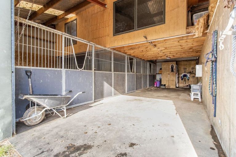 Photo of property in 58 Saint Kilda Road, Cambridge, 3493